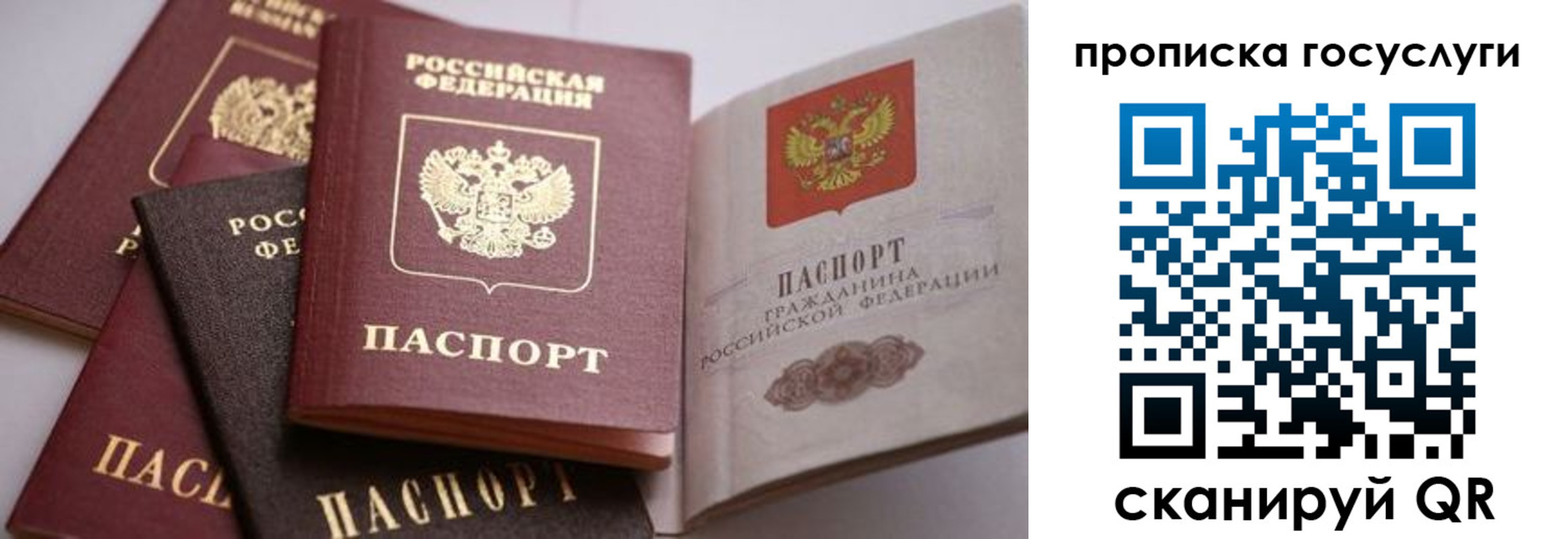 прописка иностранных граждан в Тимашёвске
